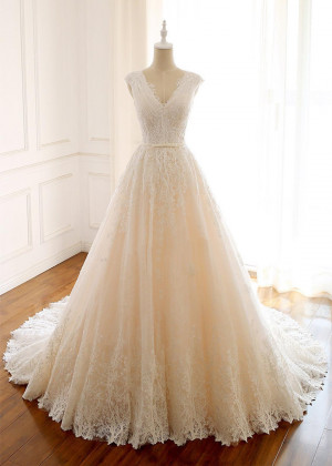 V Neck Exquisite Lace Tulle Glitter Wedding Dress
